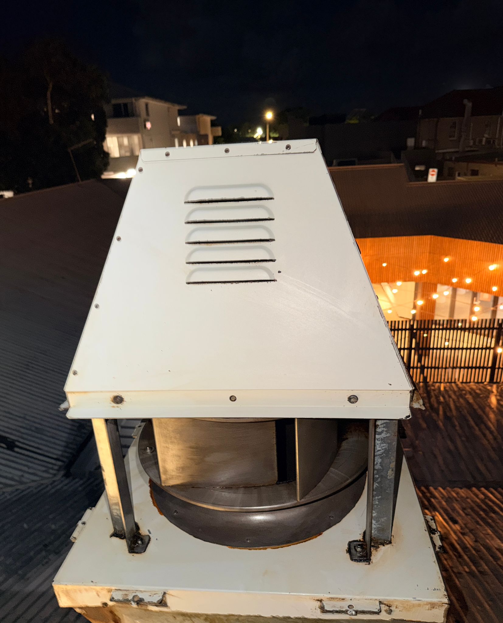 Exhaust fan blades after cleaning