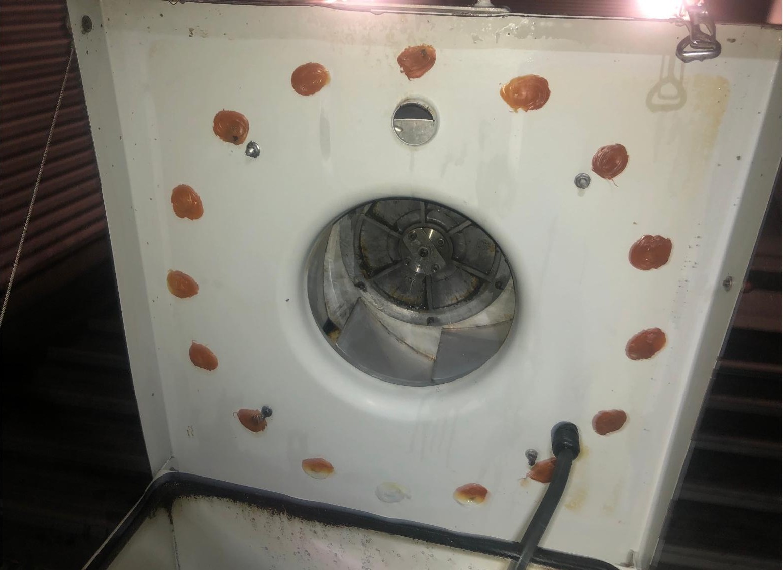 Exhaust fan chamber after cleaning